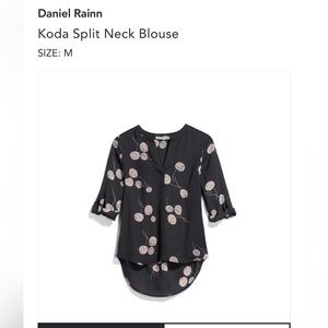 Daniel Rainn blouse